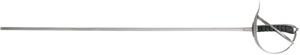 Fencing Swords