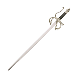 Fencing Sword