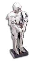 Knight in Shining Armor