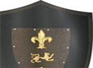 Shields and Bucklers